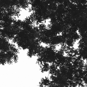 男生互摸jiji的㊙️视频
